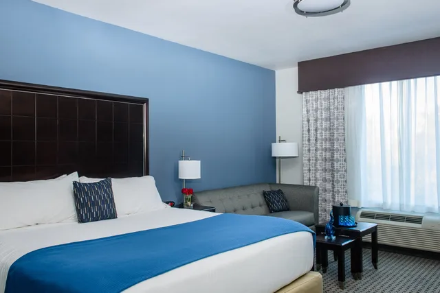 Leisure, King Bed، Holiday Inn Express Suites Austin Nw Arboretum Area 1/2
