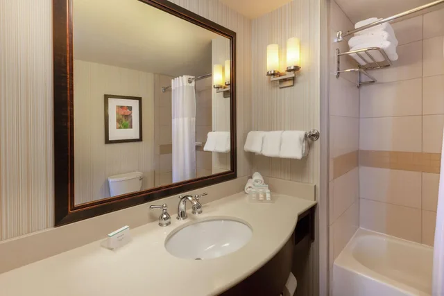 1 Bedroom, Suite, Hilton Garden Inn Pittsburgh University Place 3/3