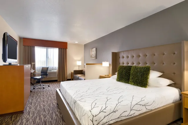 غرفة قياسية بسرير كينج لذوي الإعاقة، Best Western Plus Peppertree Airport Inn 2/5