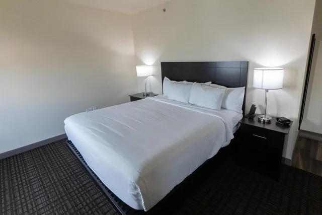 غرفة ديلوكس بسرير كينج، Cobblestone Hotel & Suites-Sheldon 2/3