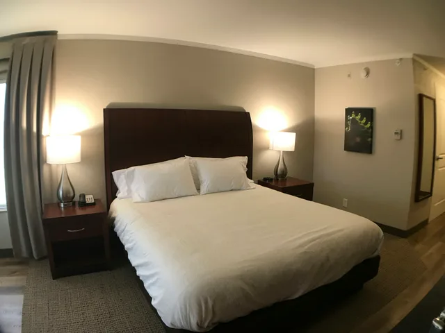 غرفة بسرير كينج، Hilton Garden Inn Bowling Green 2/4