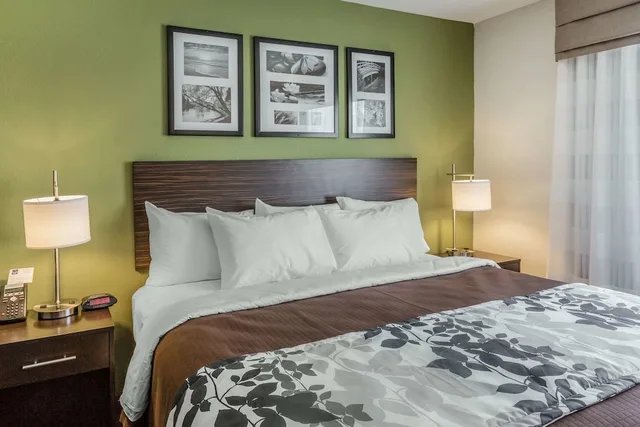 جناح بسرير كينج مع أريكة، Sleep Inn & Suites Dayton South 2/2