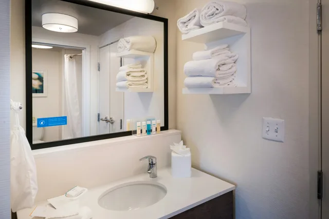 جناح استوديو بسرير كينج، Hampton Inn Suites Carson City 3/4