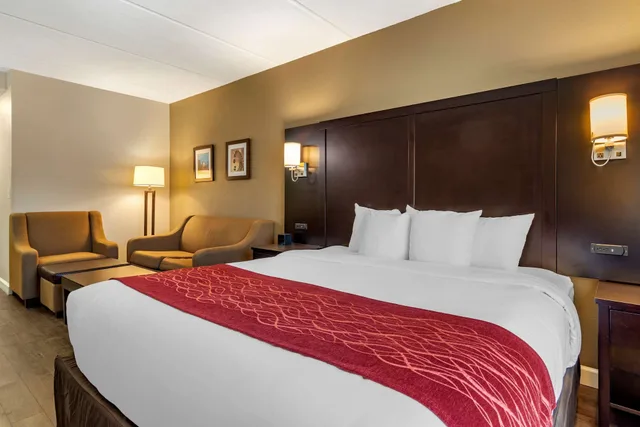 Suite, King Bed, Sofa, Accessible, Comfort Inn & Suites Near Six Flags GA 4/10