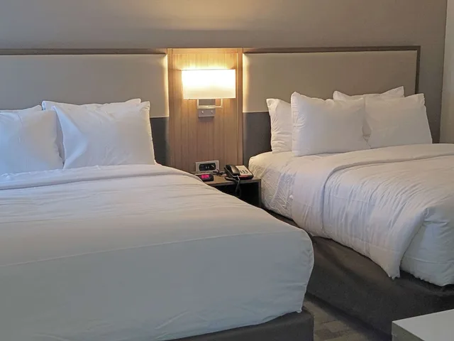 جناح بسريرين كوين مع أريكة، Comfort Inn & Suites Wyomissing/Reading 5/10