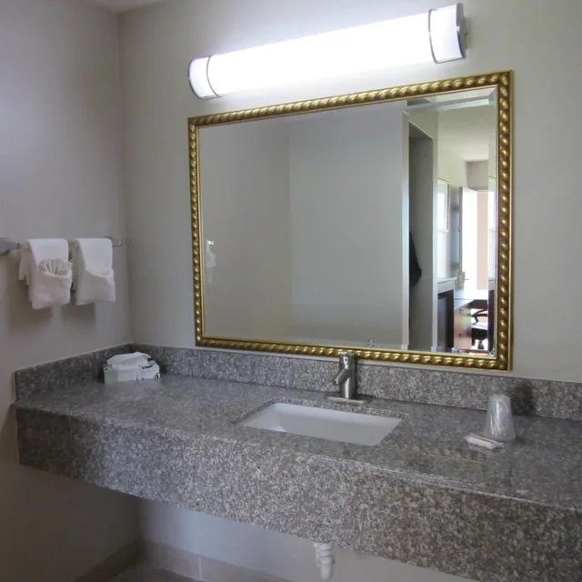 غرفة بسرير كينج يُسمح فيها بالحيوانات الأليفة، Rodeway Inn Arlington Entertainment District Area 2/2