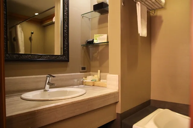غرفة قياسية بسرير مزدوج، Herald Suites 8/10
