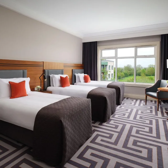Room, Triple, Estate View، Lyrath Estate 4/6