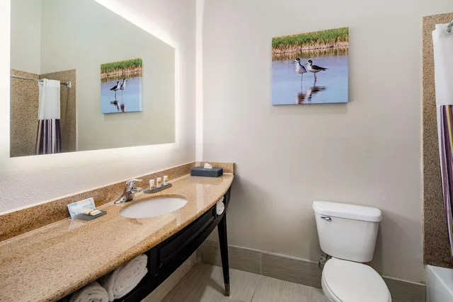 1 Bedroom, Suite, 2 King Beds, La Quinta Inn and Suites by Wyndham Alamo - McAllen East 8/10