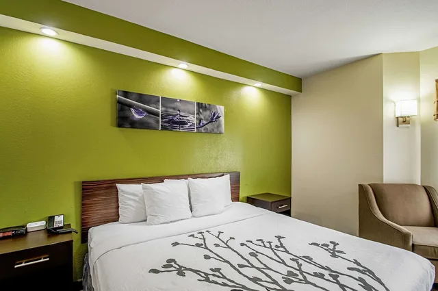 Standard, King Bed, Garner Hotel Frederick Southeast 1/5