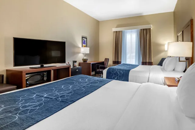 غرفة قياسية بسريرين كوين، Comfort Inn & Suites Paris 3/4