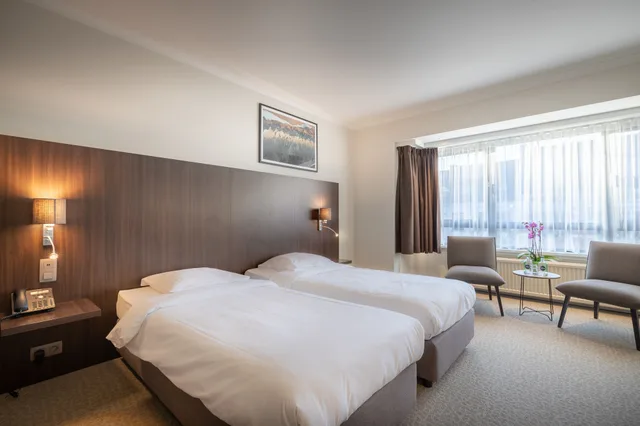 غرفة قياسية بسريرين منفصلين، Hotel Carlton 1/2