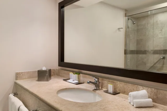 غرفة قياسية مفردة، DoubleTree by Hilton Hotel Queretaro 4/4