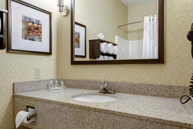 غرفة قياسية بسرير فردي، Holiday Inn Express & Suites Sikeston 2/2