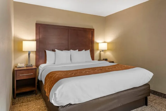 Suite, King Bed, Corner, Comfort Suites Baymeadows Near Butler Blvd 1/6