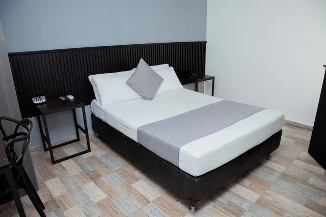 1 Bedroom, Double Bed, Hotel Palmas Del Estadio 3/10