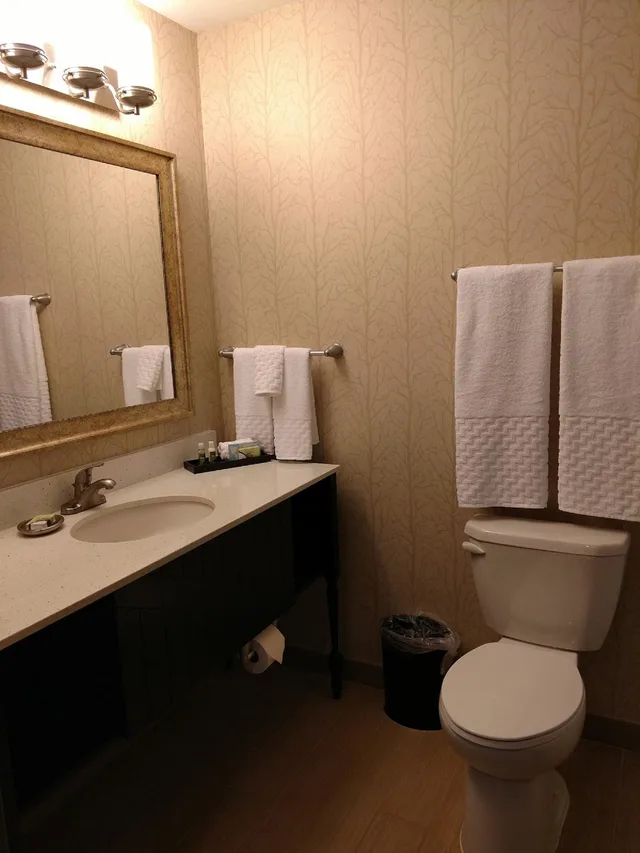 غرفة قياسية بسرير كينج لذوي الإعاقة، Best Western Plus Dayton Hotel & Suites 7/7