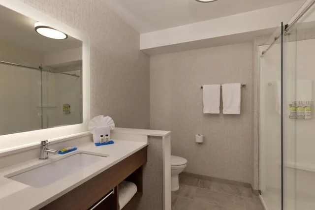 Suite, King Bed, Extra Floor Space، Holiday Inn Express Suites Portland Airport Cascade Stn 3/3