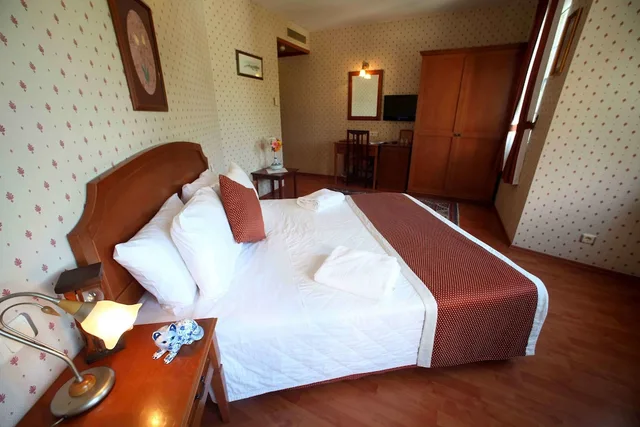 غرفة قياسية بسرير مزدوج أو سريرين منفصلين، Erguvan Hotel 3/10