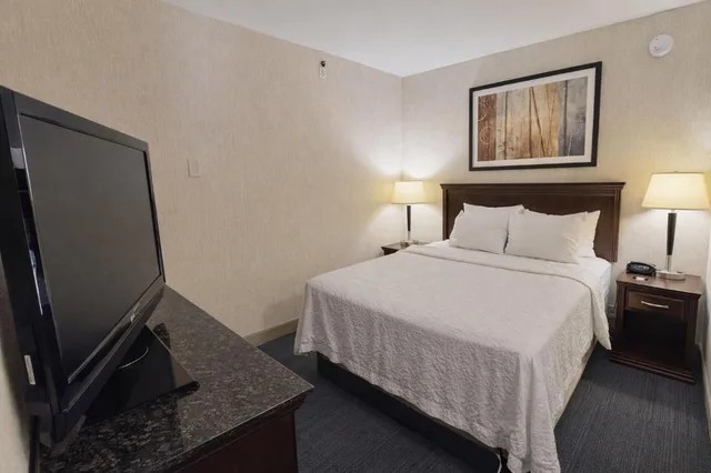 جناح بسرير كوين، Hotel Lotus Kansas City Stadium 1/3