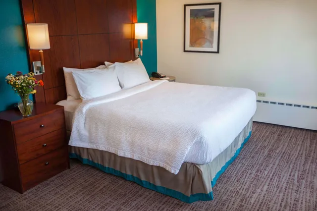 جناح بسرير كينج بغرفة نوم واحدة مع أريكة، Sonesta ES Suites Chicago Downtown Magnificent Mile 4/7