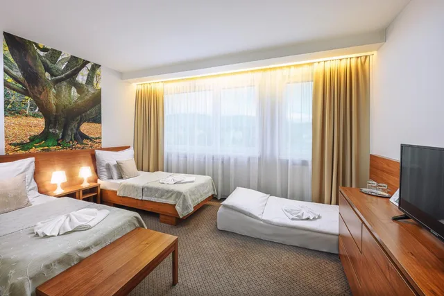 غرفة بسريرين منفصلين مع سرير إضافي، Hotel Janosik 1/3