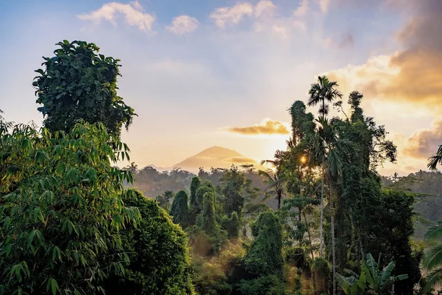 Taru Sebatu Villa، Ubud 42/50