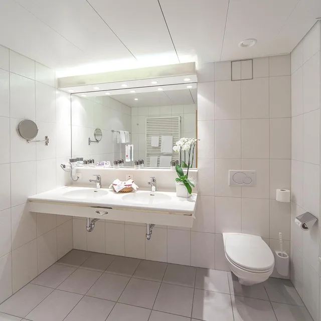 جناح جونيور، Sunstar Hotel Grindelwald 1/2
