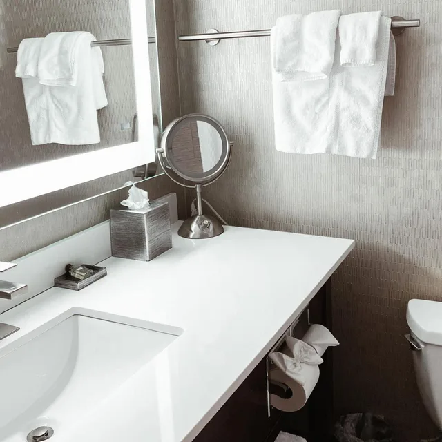 جناح جونيور بسرير كينج بحوض جاكوزي لذوي الإعاقة، Crowne Plaza Chicago Sw Burr Ridge 6/6