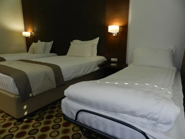 غرفة ديلوكس بسرير كينج مع أريكة، Central Hotel 3/5
