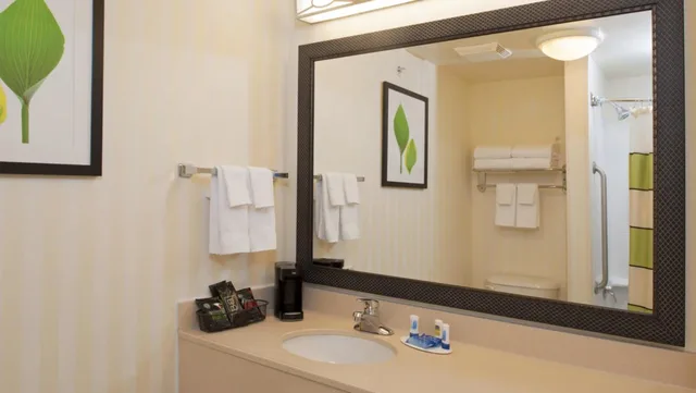 غرفة بسرير كينج مع أريكة بحوض استحمام لذوي الإعاقة، Fairfield Inn Suites Muskegon Norton Shores 3/3