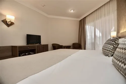 غرفة قياسية بسرير مزدوج أو سريرين منفصلين، Hotel Puerto Palace 2/2