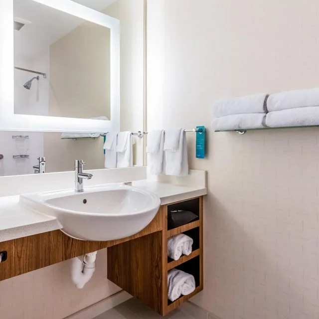 جناح بسرير كينج مع سرير سحّاب إضافي مع أريكة لذوي الإعاقة، SPRINGHILL SUITES DALLAS PLANO/FRISCO 3/5