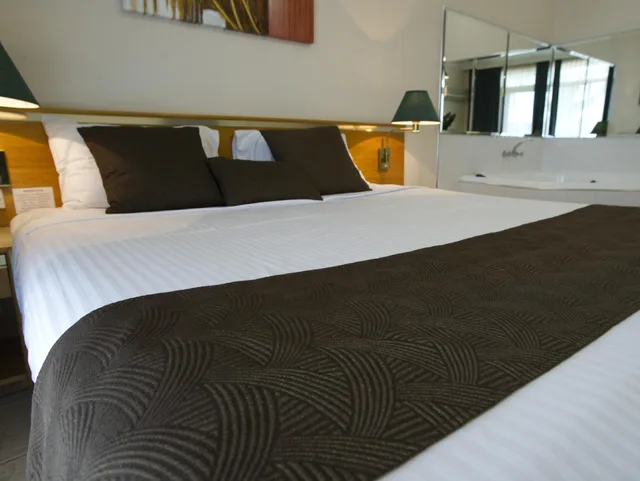 Spa، Mid City Motor Inn Singleton 2/2