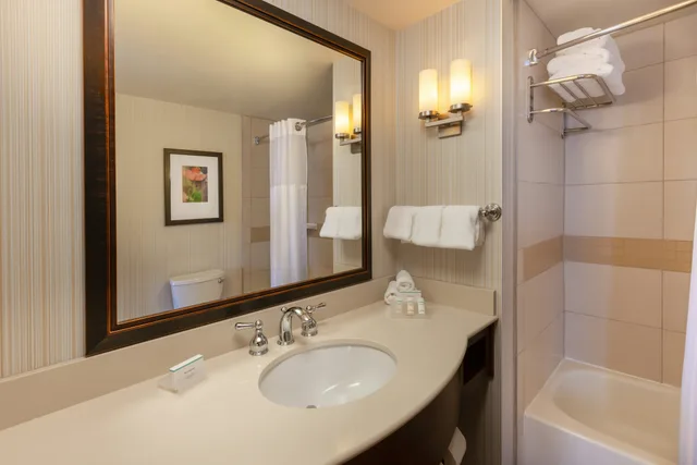 جناح بسرير كينج بغرفة نوم واحدة، Hilton Garden Inn Pittsburgh University Place 2/2