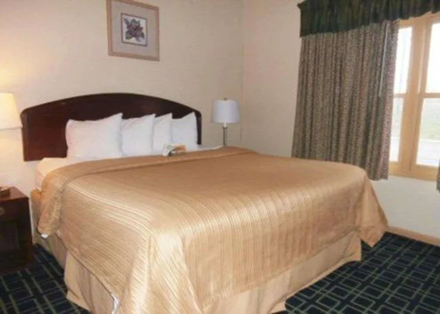 جناح بسرير كينج، Quality Inn and Suites Dublin, OH 1/2