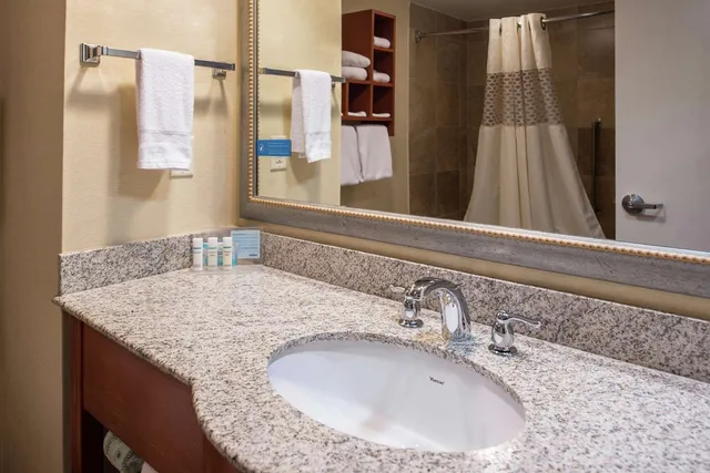 Room, King Bed, Hampton Inn & Suites Charlotte-Arrowood 7/7