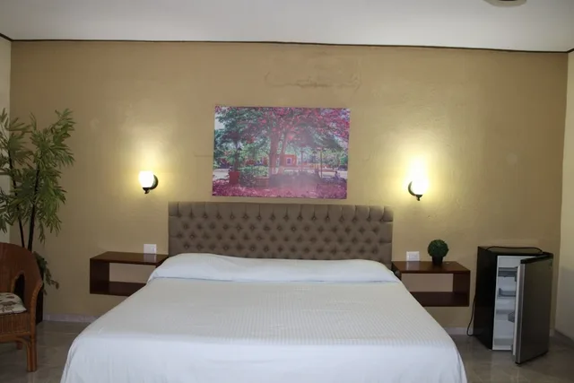 غرفة قياسية بسرير كينج، SUITE HOTEL MARIA DE LA LUZ 1/10