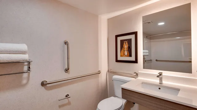 غرفة بسرير كينج لذوي الإعاقة، Aiden by Best Western Scottsdale North 5/6