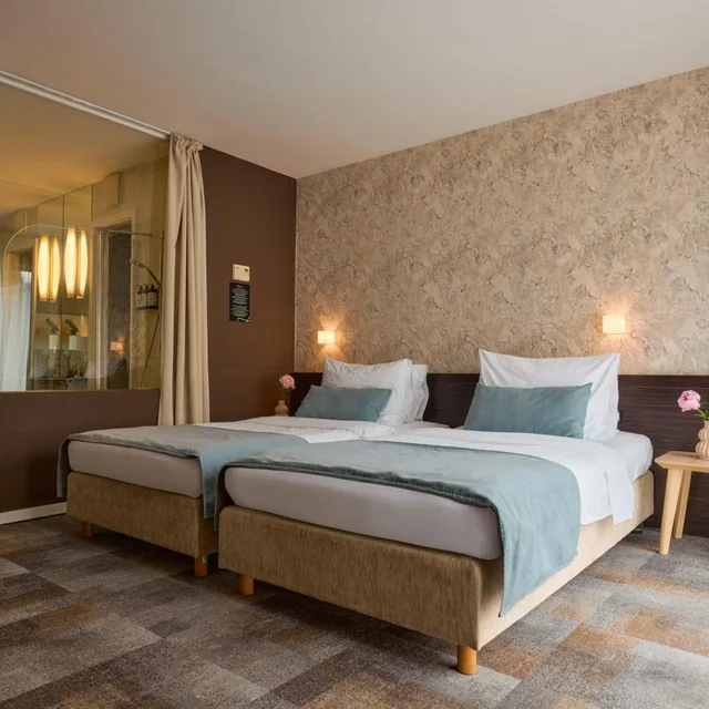غرفة بريميوم بسرير مزدوج أو سريرين منفصلين، SPA AND SPORT RESORT SVETI MARTIN 1/10