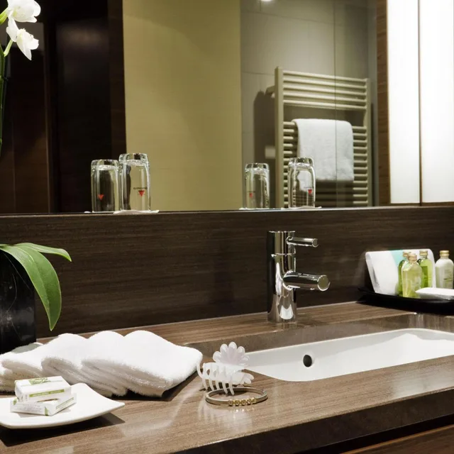 جناح بريفيليج، Mercure Hotel Dusseldorf City Center 1/2