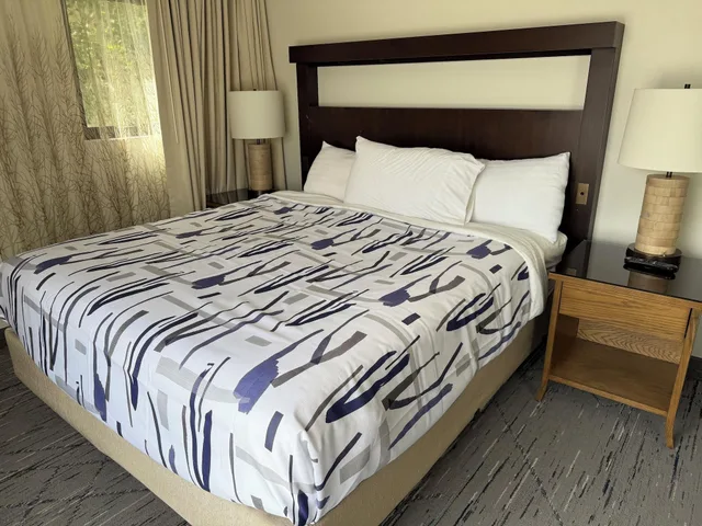 Suite, Snowshoe Motel 1/5