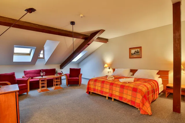 جناح جونيور بسرير فردي، Hotel Dvorak Tabor 4/10