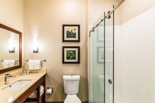 Suite, Multiple Beds، Comfort Suites Grand Prairie Arlington North 3/3