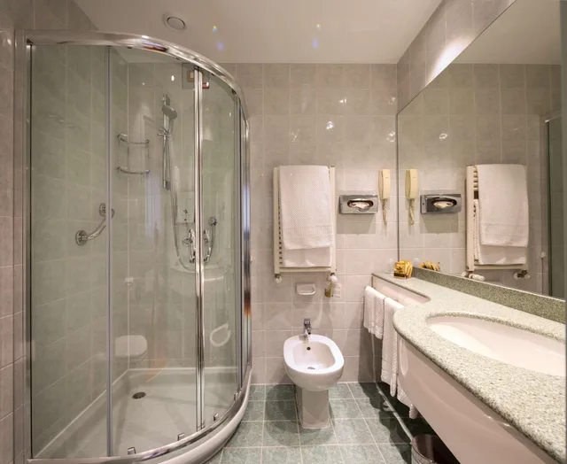 Standard, Double Bed, Best Western Air Hotel Linate 3/3