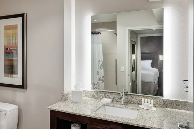 جناح استوديو بسرير كينج مع أريكة لذوي الإعاقة، RESIDENCE INN DALLAS PLANO/RICHARDSON 2/3