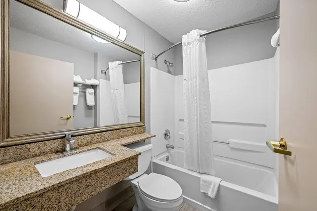 Deluxe, Studio, Suite, King Bed, Microtel Inn & Suites by Wyndham Statesville 5/7