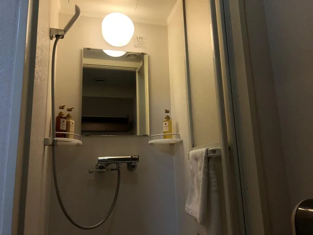 Moderate, Semi Double Bed، Dormy Inn Akihabara 6/6