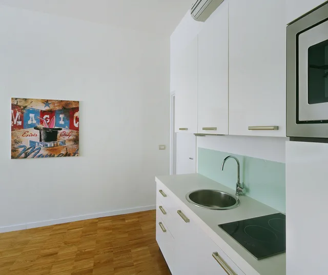 شقة كبيرة بسرير مزدوج بغرفة نوم واحدة مع أريكة، Milan Apartment Rental 7/7