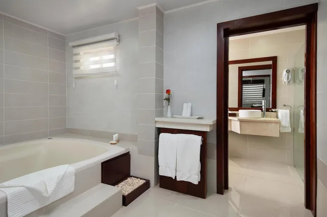 جناح بسرير كينج، Centro Plaza Hodelpa 8/8